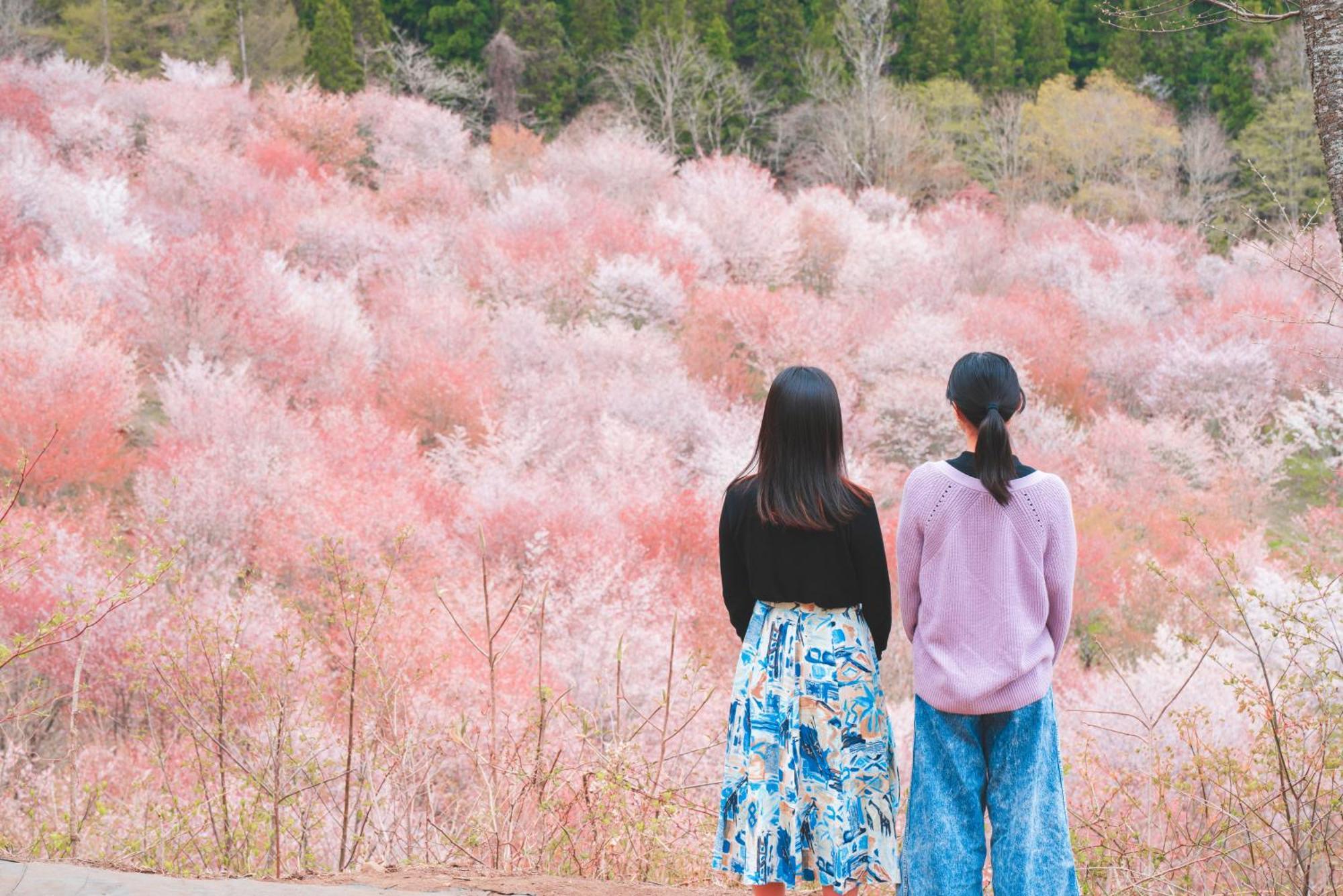 Urabandai Lake Resort Goshiki No Mori Kitashiobara Екстер'єр фото