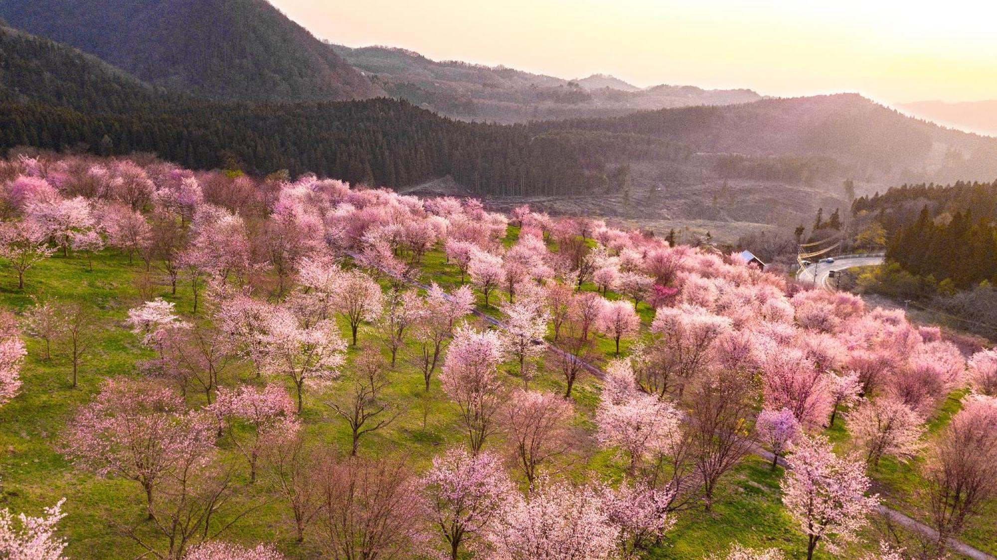 Urabandai Lake Resort Goshiki No Mori Kitashiobara Екстер'єр фото