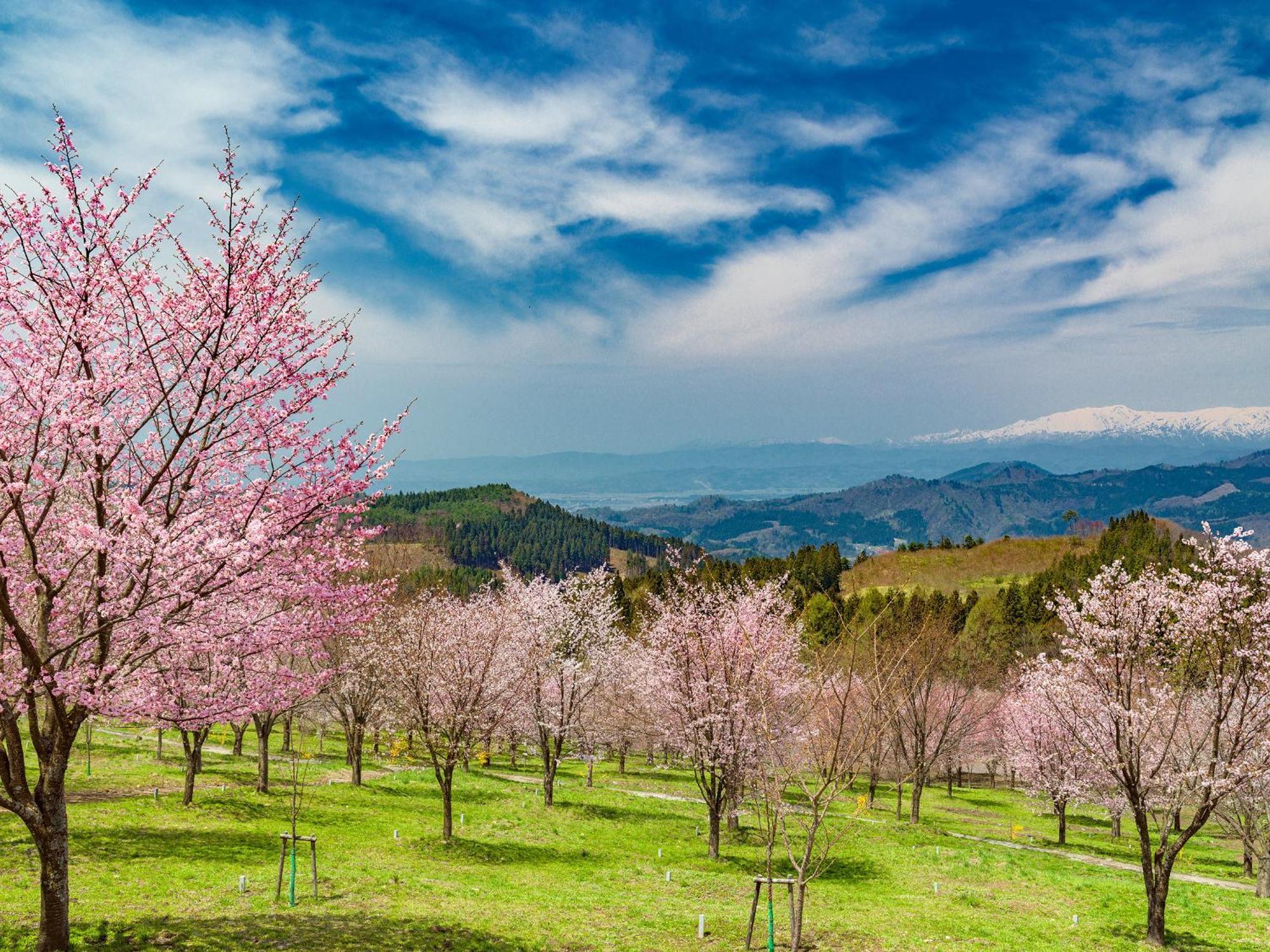 Urabandai Lake Resort Goshiki No Mori Kitashiobara Екстер'єр фото