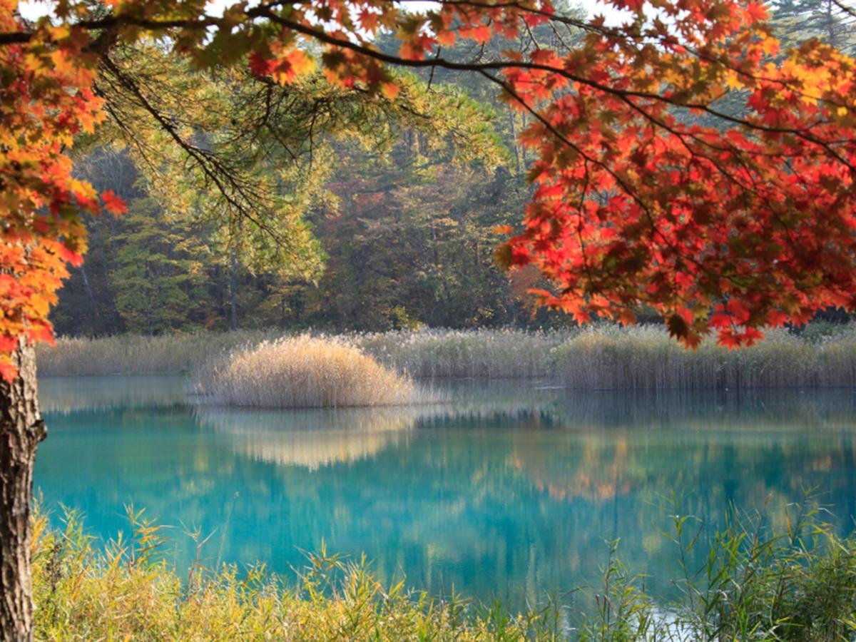 Urabandai Lake Resort Goshiki No Mori Kitashiobara Екстер'єр фото